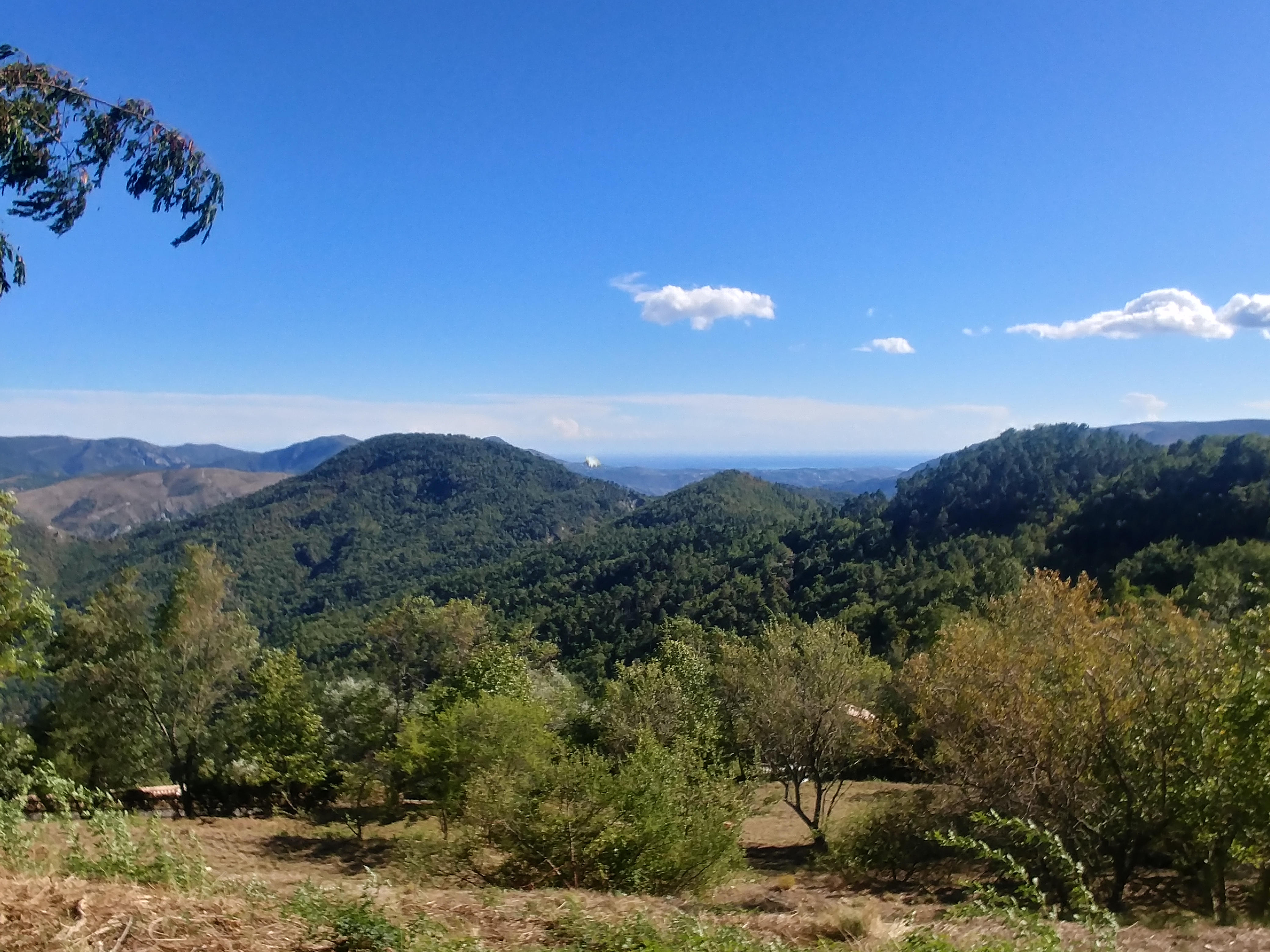 Le terrain vu depuis la route