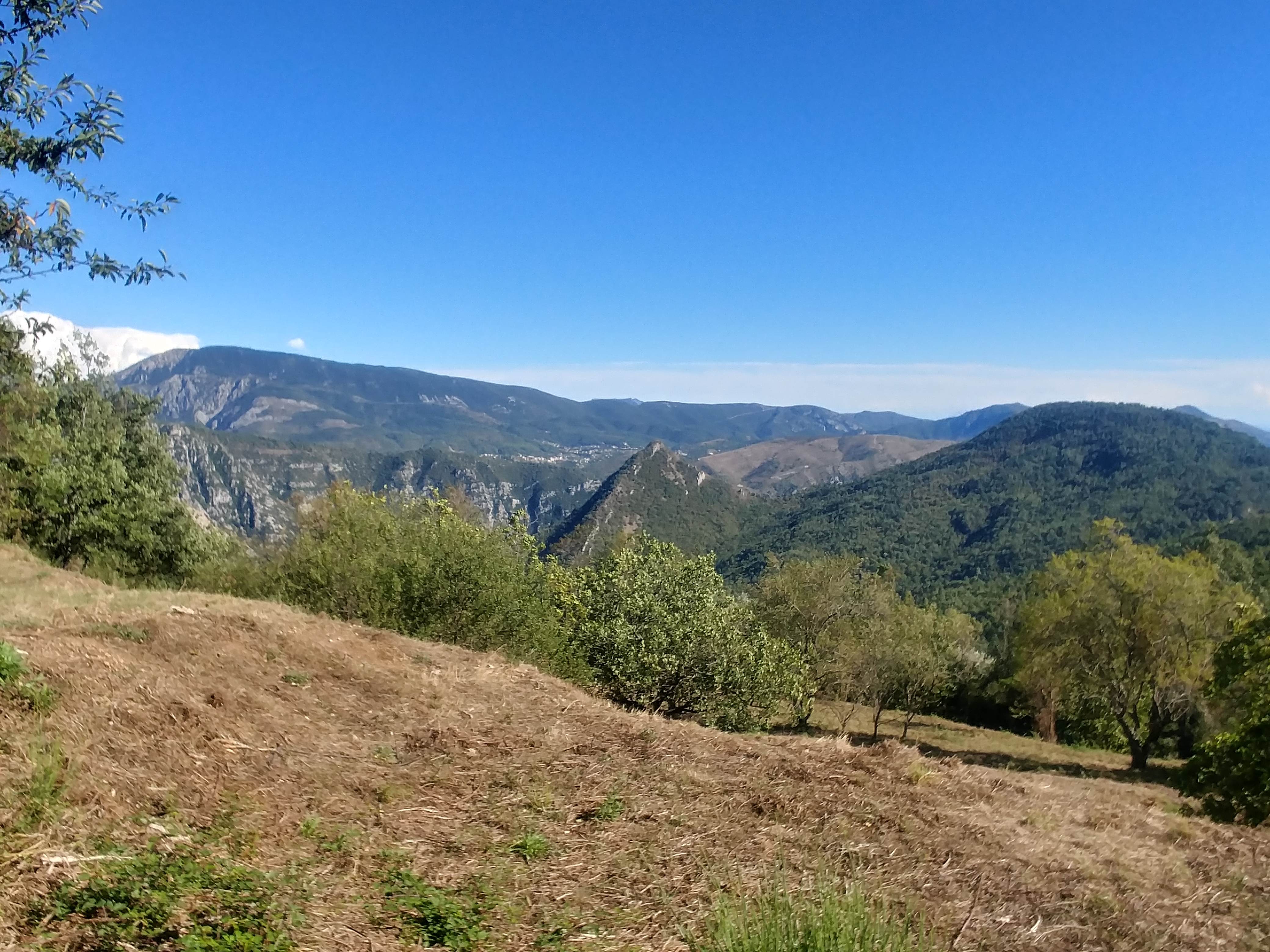 Vue panoramique été