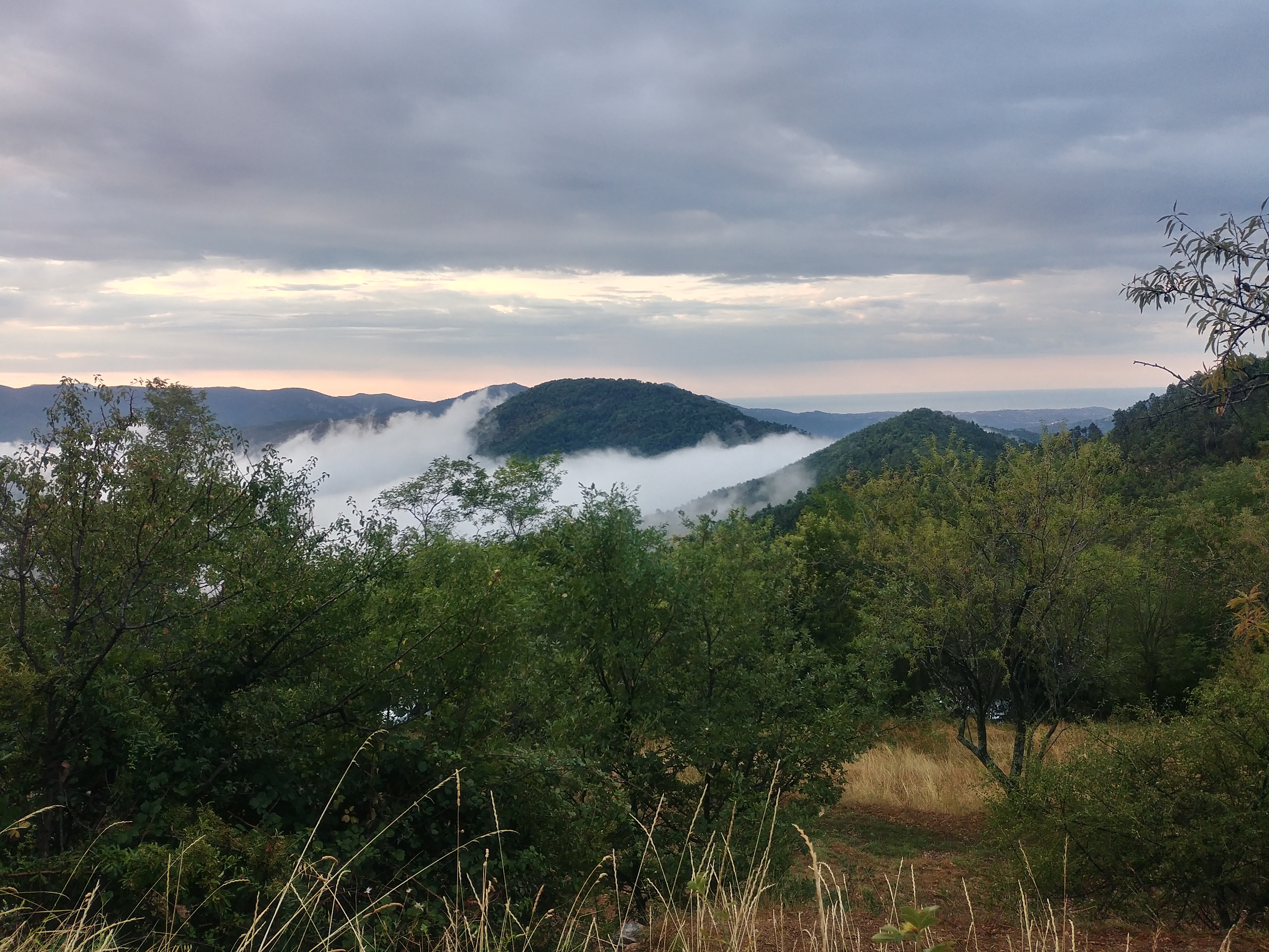 Vue panoramique depuis le terrain