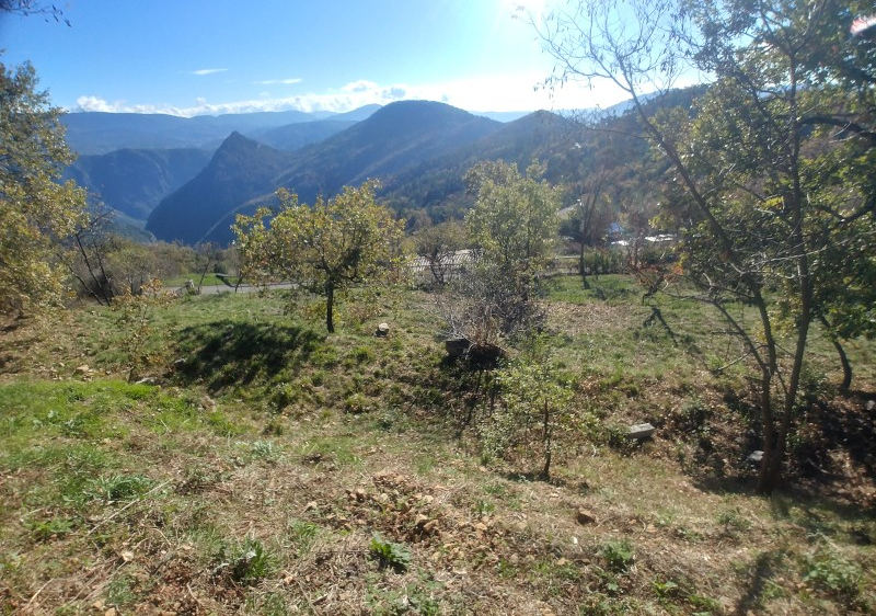 Vue sud du terrain